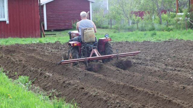 Harrowing potato field with homemade harrow attachment for mini tractor.