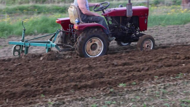 Small tractor with plow attachment plows soil in potato field before spring sowing.