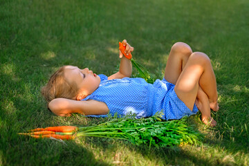 A beautiful girl is lying resting on the lawn grass gnawing fresh ripe sweet healthy carrots...