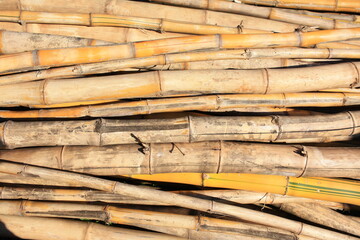 bamboo twigs