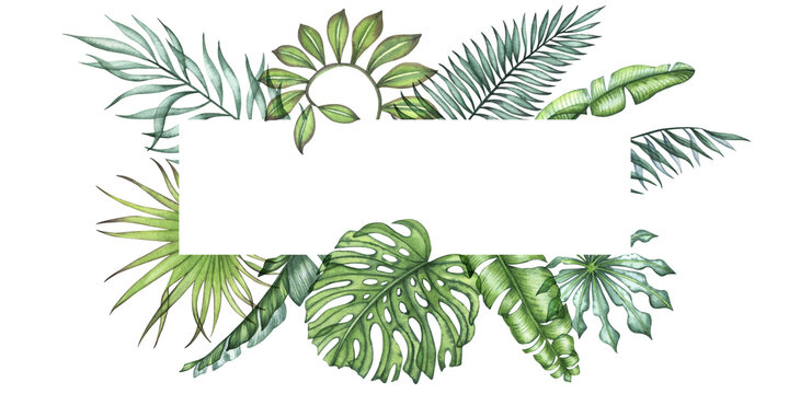 watercolor illustration with transparent tropical leaves 