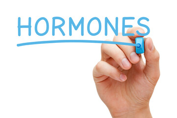 Hand writing Hormones with blue marker on transparent glass board.