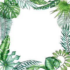 watercolor frame with transparent tropical leaves 