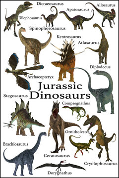 This is a collection of some of the dinosaurs that lived during the Jurassic Period of Earth's history.