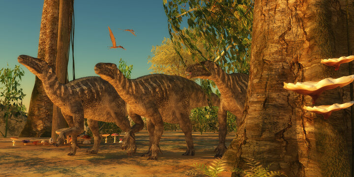 Iguanodon dinosaurs make their way among the trees of a Cretaceous forest as Zhejiangopterus reptiles fly over.