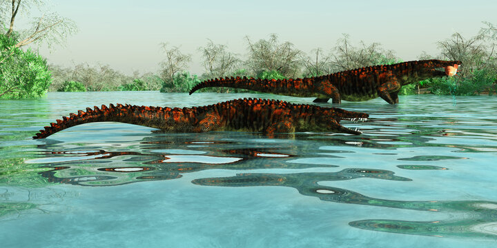 Uberabasuchus dinosaur reptiles inhabit a Brazil river catching fish in the Cretaceous Period.