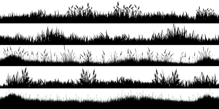 Meadow silhouettes with grass, plants on plain. Panoramic summer lawn landscape with herbs, various weeds. Herbal border, frame element. Black horizontal banners. Vector illustration