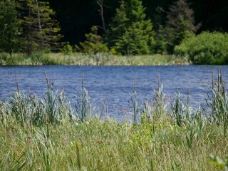 Spykersche See auf Rügen