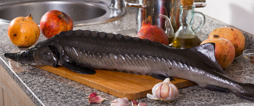 Image of uncooked raw sturgeon at plate laying on table