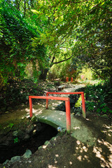 Naklejka premium Red Chinese style bridge with wooden railings in lush greenery of asian part of tropical botanical garden in Lisbon, Portugal