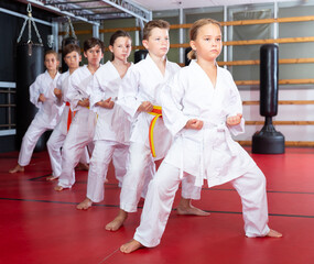 Group of children posing together, practicing karate moves at class indoor