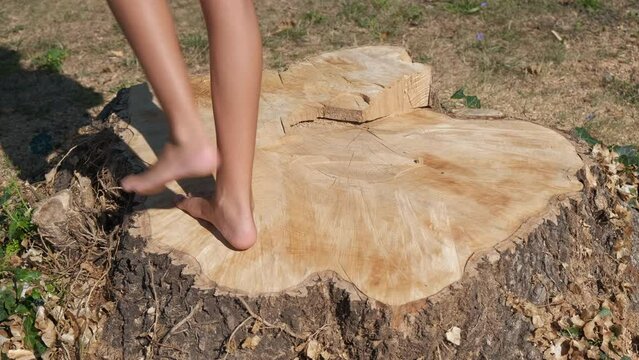 Bare feet on stump. A child bare feet stand on the stump in the sun rays. A concept of enjoy summer vacation in the heart of the forest.