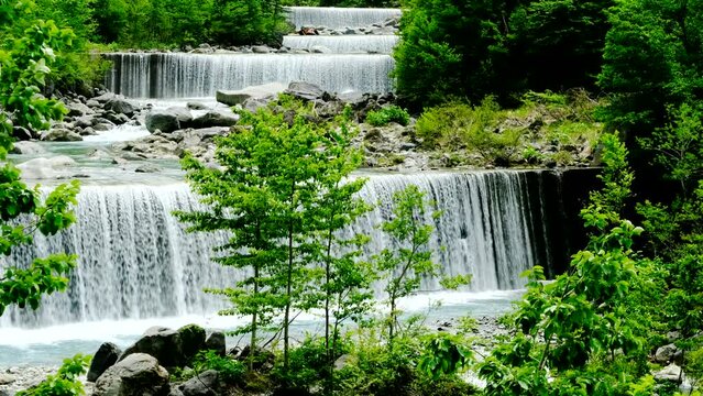 新緑の間を流れる川と砂防堰堤