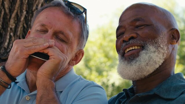 Senior and mature male friends outdoors in garden playing harmonica and laughing - shot in slow motion