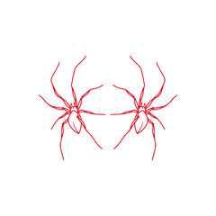 vector illustration of two red spiders