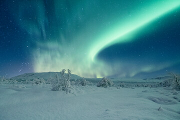 Beautiful Northern lights in a snow covered remote area in Iceland