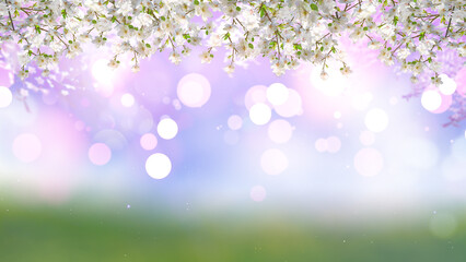 Plakat 3D render of cherry tree blossom on a bokeh lights background