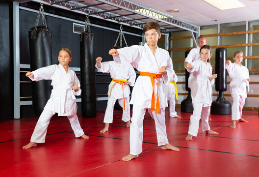Schoolchilds are practicing new technique by repeating for the trainer in karate class © JackF