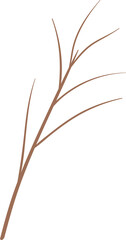 Obraz premium tree branch 5