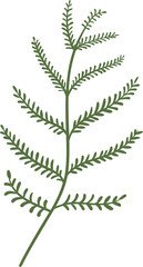 plant leaves 171