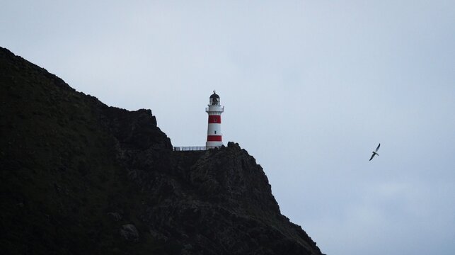 Panorama view of red and white stripes lighthouse on top of oceanside cliff hill, Cape Palliser Wellington New Zealand