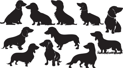 Set dog silhouettes vector image,Dachshund dog pet - obrazy, fototapety, plakaty