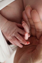 Small hand of a newborn baby with tiny fingers, head, nose and ear of a newborn. Palm hand of parents, father and mother of a newborn. Studio macro photography.