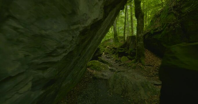 Stone Cave Rocks in Green Moss Covered Forest Landscape