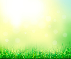 Abstract summer natural background. Grass in the background of sunlight.