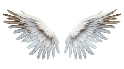Fototapeta na wymiar Angel wings isolated transparent png