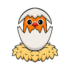 Cute violin love bird cartoon inside from egg