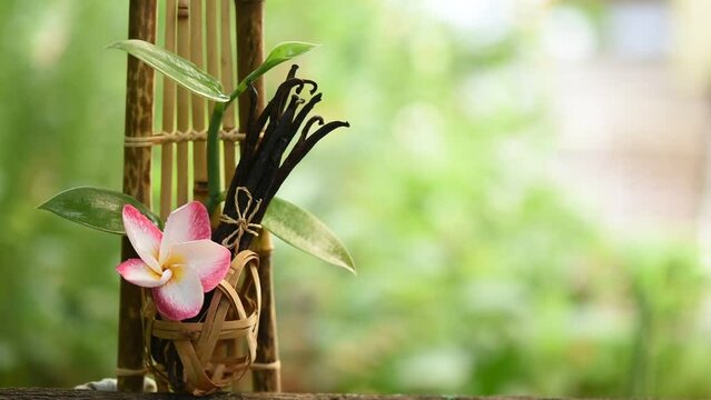 Vanilla dried pod and green leaves on nature background.