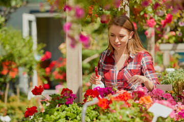 Horizontal outdoors shot of smiling young woman splashing water and doing horticulture job in the garden.