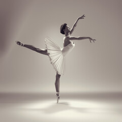 Portrait of the ballerina in ballet pose. This is a 3d render
