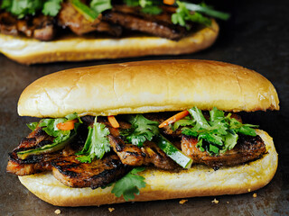 close up of rustic vietnamese bahn mi pork sandwich