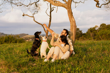 smiling couple playing with their pets at the sunset by a tree
