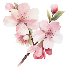 watercolor cherry blossom, flowerw, AI Generative