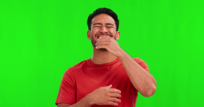 Comic, funny or laughter with a man on a green screen background in studio for humor or joking. Portrait, smile and comedy with a happy young asian male laughing at a meme on chromakey mockup