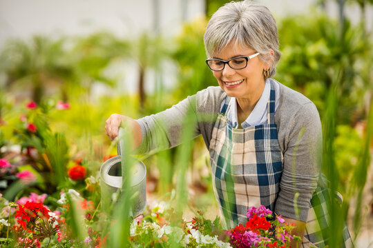 Beautiful mature woman in a garden watering flowers