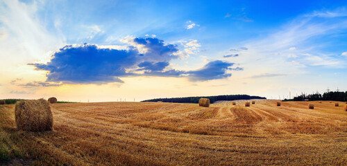 Hay bales on field. Rural landscape with haystacks. Autumn field with hay bales after harvest....