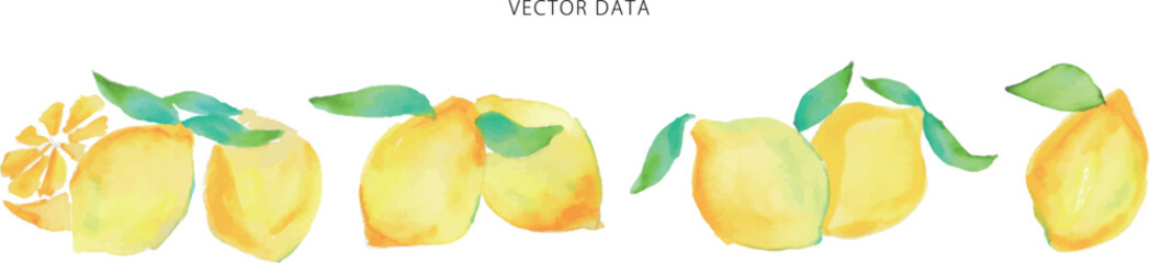 水彩画。水彩タッチのレモンベクターイラスト。夏のレモン挿絵。Watercolor painting. Lemon vector illustration with watercolor touch. Summer lemon illustration.