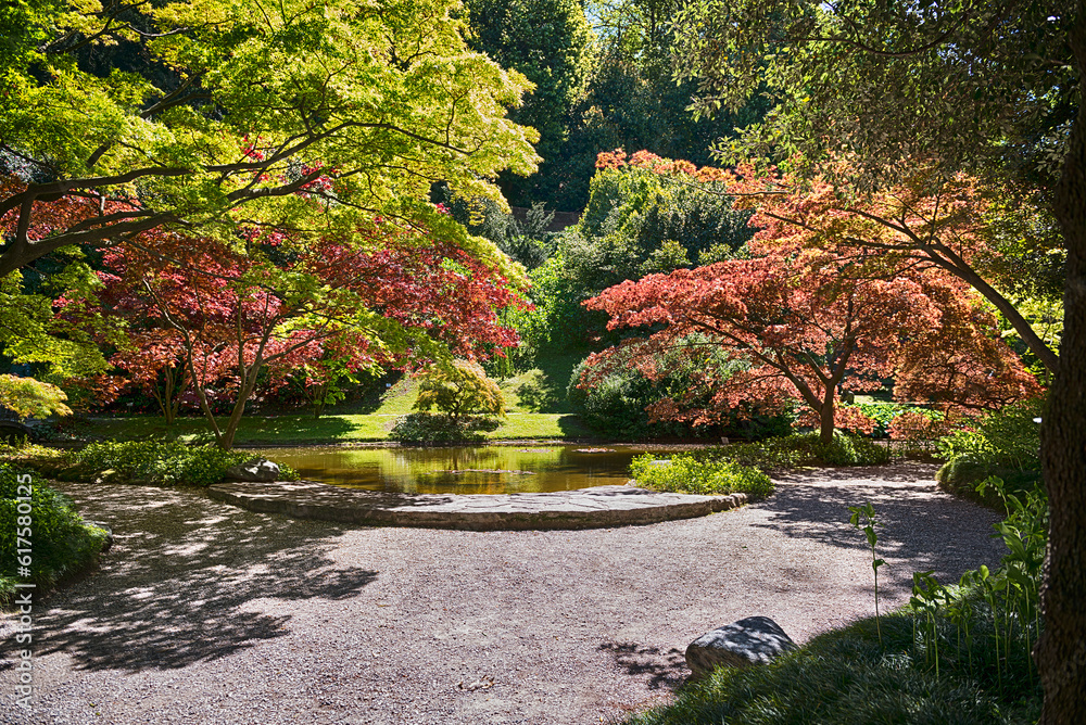 Sticker japanese botanical garden with small pond and many varieties of trees