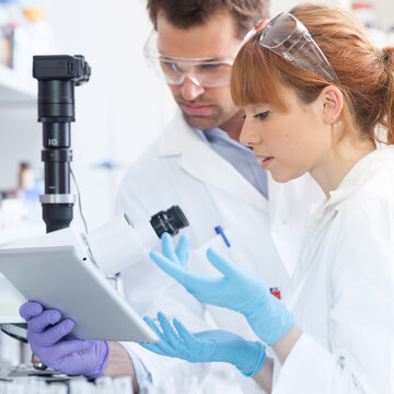 Health care researchers working in life scientific laboratory. Focused scientists looking at tablet computer screen evaluating and analyzing microscope image and discussing project data.
