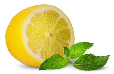 Half lemon and sprig of mint isolated on white background