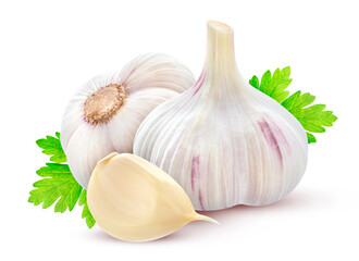 Isolated garlic. Whole garlic, one segment and clove isolated on white background