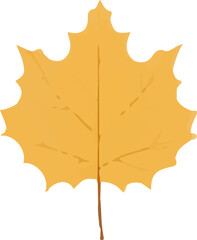Yellow autumn leaf.Colorful leaf icon . Watercolor autumn leaf.