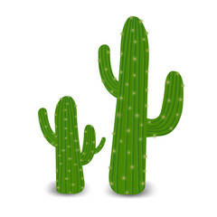 Cactus With Gradient Mesh, Vector Illustration
