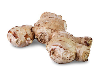 fresh ginger root isolated on white background