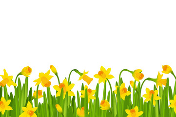 Narcissus Border With Gradient Mesh, Vector Illustration