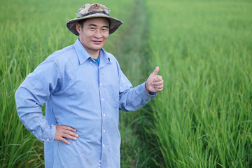 Asian man farmer is at paddy field, wears hat, blue shirt, put hand on waist and thumbs up. Concept, Agriculture occupatiom. Thai farmer grow organice rice plants.           